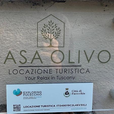 フチェッキオLocazione Turistica Casa Olivoアパートメント エクステリア 写真